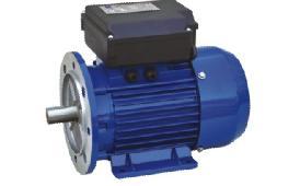 ELECTRIC MOTOR