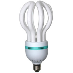 ENERGY SAVING LAMP