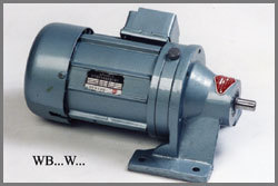 WB Series Cycloidal Reducer