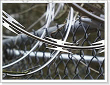 Razor Barbed Wire