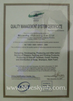 Environmental Management System Certificate