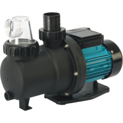 Commercial Pool Pump