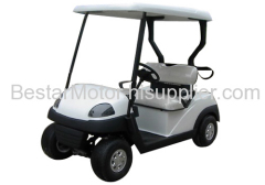 2-Seater Electric Golf Cart