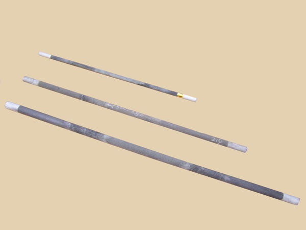 silicon carbide heater