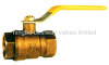 Brass Ball Valve