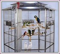 welded wire Bird Cage
