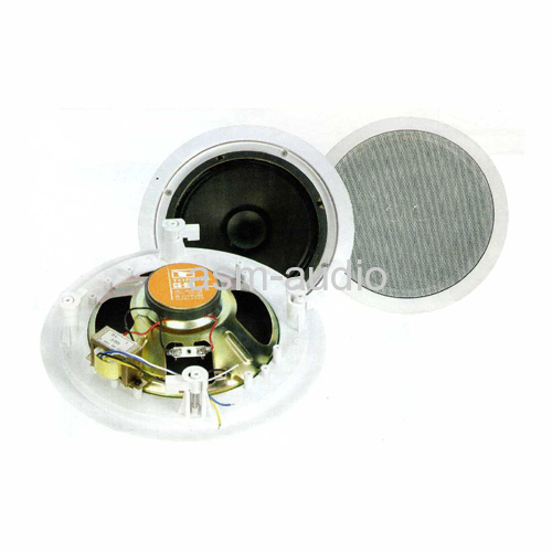 Ceiling And Wall Speaker