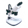 Stereo Microscope