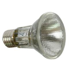 Halogen Bulb