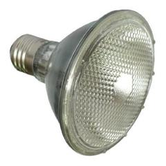 Halogen Bulb