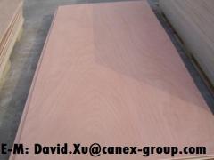 Canex (Plywood) Group Limited