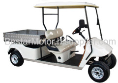 Electric Utility Vehicle CE