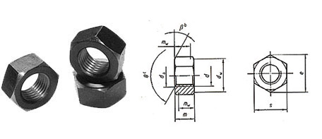 Hex Nut