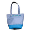 Cooler Bag