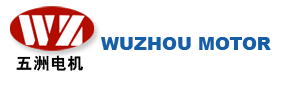 Wuzhou Wuxing Motor Factory