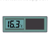 Digital Thermometer