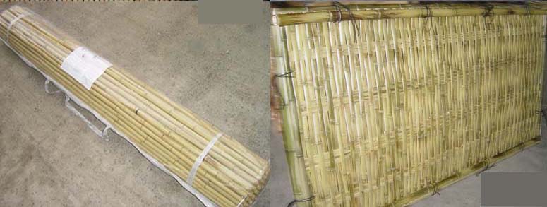 bamboo fence