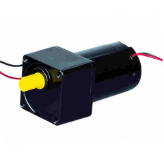 electric motor