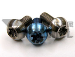 Titanium Torx Bolt