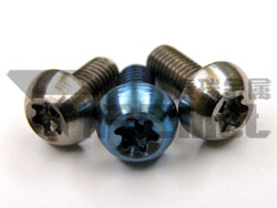 Titanium Torx Bolt