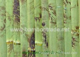 2.5cm Green Tortoise Bamboo Wallpaper