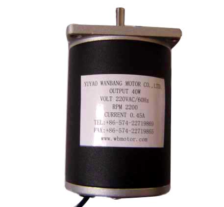 High Voltage AC Motor