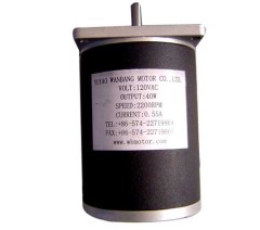 WB5233M12 Single-phase DC Motor