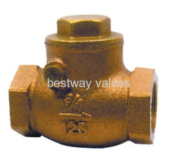 brass non return valves