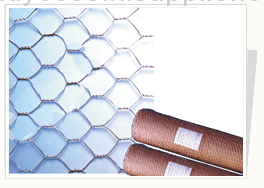 Hexagonal Wire Netting