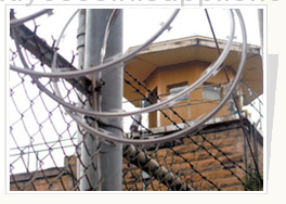 Razor Wire