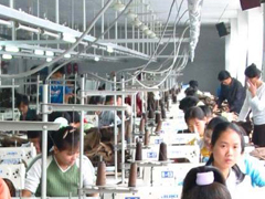 Hangzhou Allamoda Textile And Garment Co., Ltd.