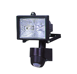 Halogen Flood Light