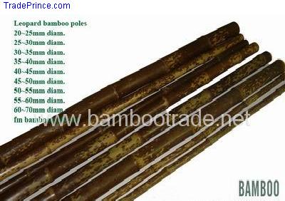 Leopard Bamboo Pole