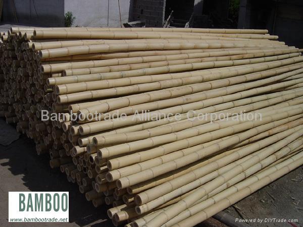 bamboo poles