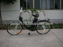 Electric Bike