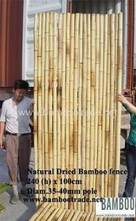 bamboo fencings