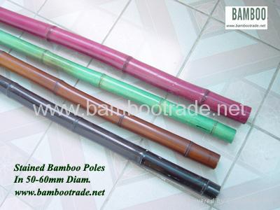 Stained Bamboo Cane