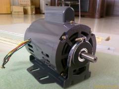 Shock Absorption Motor