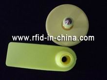 RFID Ear Tag