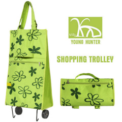 Shopping Trolley with Chair