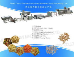 Pellet/Chips/Extruded Frying Food Process LIne