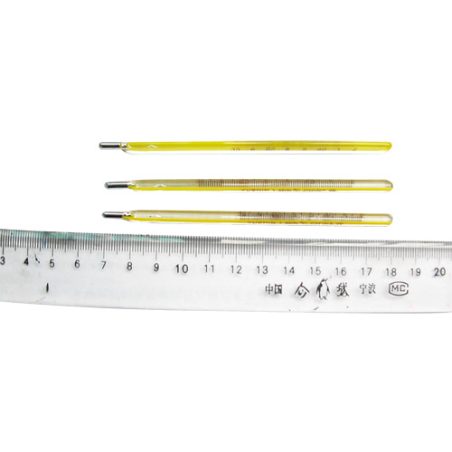 Rectal type thermometer