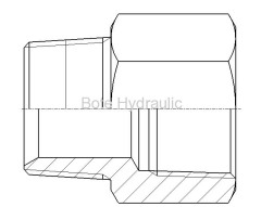 BSPT M/F Straight Adapter