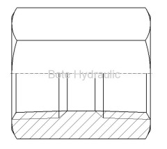 BSPT Solid Female Straight Adapter