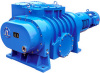 ZJP Series Roots Vacuum Pump