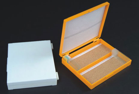 Slide Storage Box