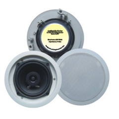 Ceiling Speaker