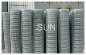 Galvanized Welded Wire Mesh