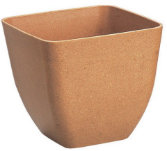 Biodegradable Pot