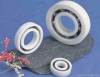 Hybrid Bearing